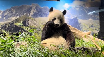 恩賜上野動物園に投稿された画像（2026/1/9）