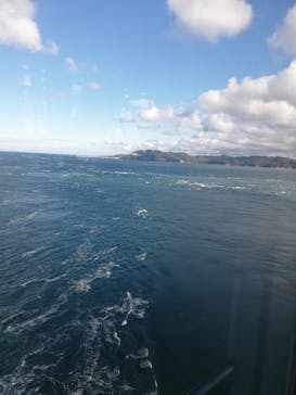 徳島県立 渦の道に投稿された画像（2026/1/9）