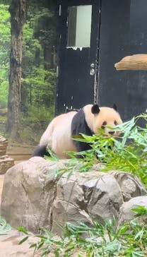 恩賜上野動物園に投稿された画像（2026/1/9）