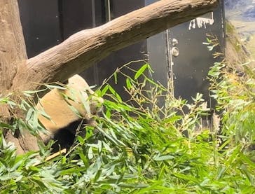 恩賜上野動物園に投稿された画像（2026/1/9）