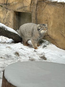 那須どうぶつ王国に投稿された画像（2026/1/9）