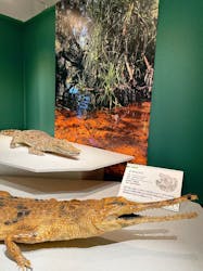 国立科学博物館に投稿された画像（2026/1/9）