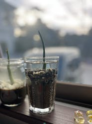 カヤックイーズに投稿された画像（2026/1/10）