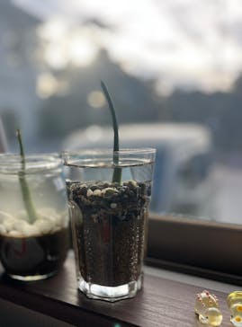 カヤックイーズに投稿された画像（2026/1/10）