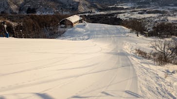 白馬八方尾根スキー場に投稿された画像（2026/1/10）