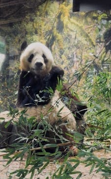 恩賜上野動物園に投稿された画像（2026/1/10）