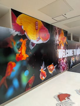 NARA KINGYO MUSEUMに投稿された画像（2026/1/10）