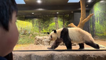 恩賜上野動物園に投稿された画像（2026/1/10）