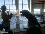 アクアワールド茨城県大洗水族館に投稿された画像（2026/1/10）