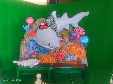 アクアワールド茨城県大洗水族館に投稿された画像（2026/1/10）