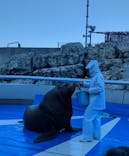 大分マリーンパレス水族館 「うみたまご」に投稿された画像（2026/1/10）