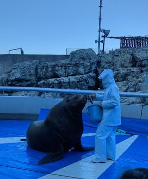 大分マリーンパレス水族館 「うみたまご」に投稿された画像（2026/1/10）