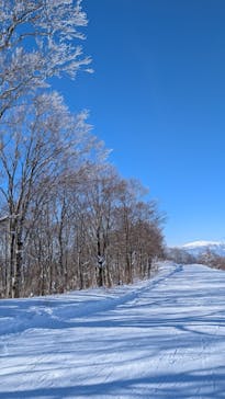 黒伏高原スノーパーク ジャングル・ジャングルに投稿された画像（2026/1/10）