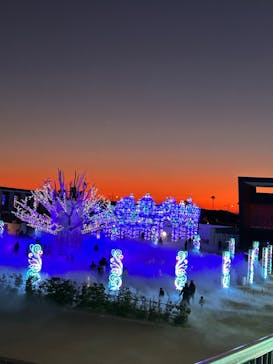 ラグーナテンボス ラグナシアに投稿された画像（2026/1/10）