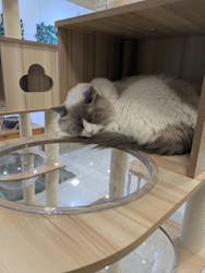 Moff animal world BIGHOPガーデンモール印西店に投稿された画像（2026/1/10）