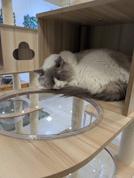 Moff animal world BIGHOPガーデンモール印西店に投稿された画像（2026/1/10）