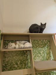 Moff animal world BIGHOPガーデンモール印西店に投稿された画像（2026/1/10）