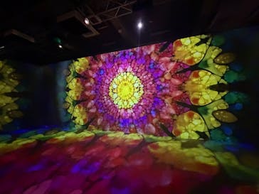 NAKED meets ガウディ展に投稿された画像（2026/1/10）