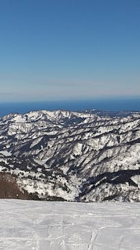 シャルマン火打スキー場に投稿された画像（2026/1/10）