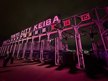 東京メガイルミに投稿された画像（2026/1/10）