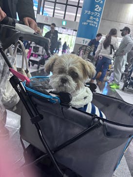 Pet博2026 横浜に投稿された画像（2026/1/10）