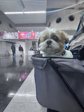 Pet博2026 横浜に投稿された画像（2026/1/10）