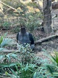 恩賜上野動物園に投稿された画像（2026/1/10）
