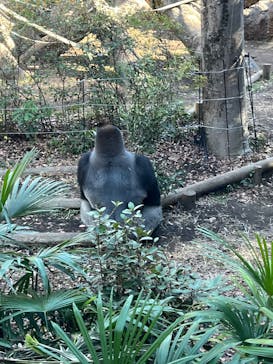 恩賜上野動物園に投稿された画像（2026/1/10）