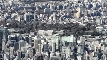 東京スカイツリーに投稿された画像（2026/1/10）