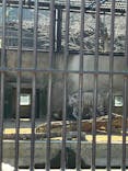 宇都宮動物園に投稿された画像（2026/1/10）