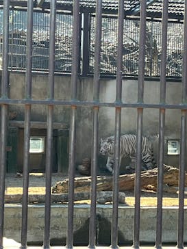 宇都宮動物園に投稿された画像（2026/1/10）