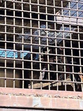 宇都宮動物園に投稿された画像（2026/1/10）