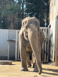 宇都宮動物園に投稿された画像（2026/1/10）
