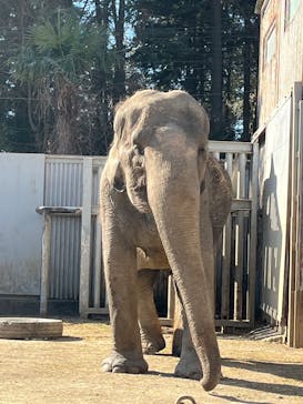 宇都宮動物園に投稿された画像（2026/1/10）