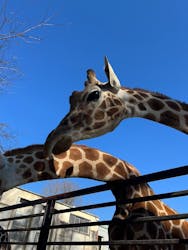 宇都宮動物園に投稿された画像（2026/1/10）