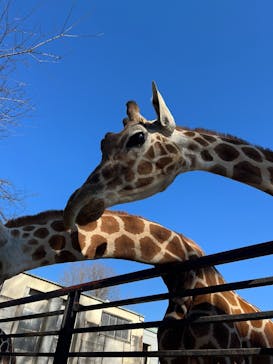 宇都宮動物園に投稿された画像（2026/1/10）
