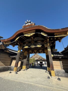 元離宮二条城に投稿された画像（2026/1/10）