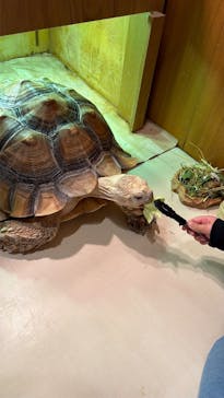 Moff animal cafe イオンモール名取店に投稿された画像（2026/1/10）