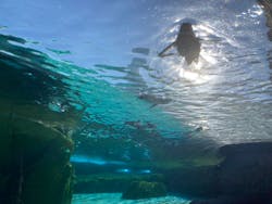 天王寺動物園に投稿された画像（2026/1/10）