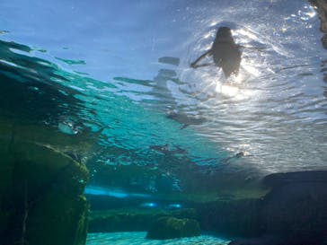 天王寺動物園に投稿された画像（2026/1/10）