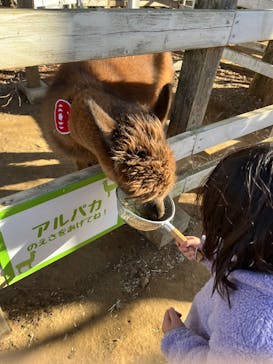 千葉市動物公園に投稿された画像（2026/1/10）