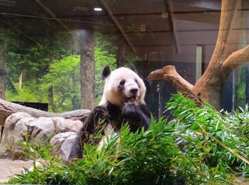 恩賜上野動物園に投稿された画像（2026/1/10）