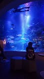 すみだ水族館に投稿された画像（2026/1/10）