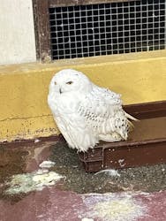 掛川花鳥園に投稿された画像（2026/1/10）