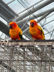 掛川花鳥園に投稿された画像（2026/1/10）