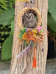 掛川花鳥園に投稿された画像（2026/1/10）