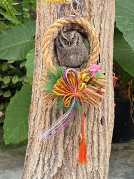 掛川花鳥園に投稿された画像（2026/1/10）