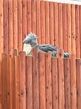 掛川花鳥園に投稿された画像（2026/1/10）