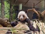 恩賜上野動物園に投稿された画像（2026/1/10）