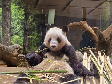 恩賜上野動物園に投稿された画像（2026/1/10）